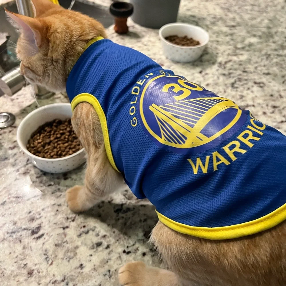 Cat Clothing